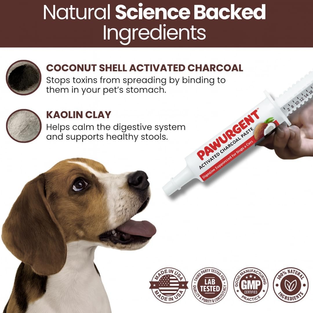 PawUrgent Activated Charcoal Gel