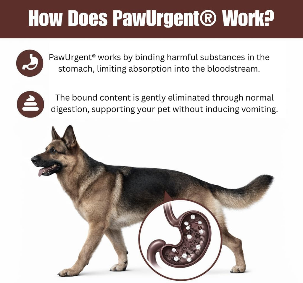 PawUrgent Activated Charcoal Gel
