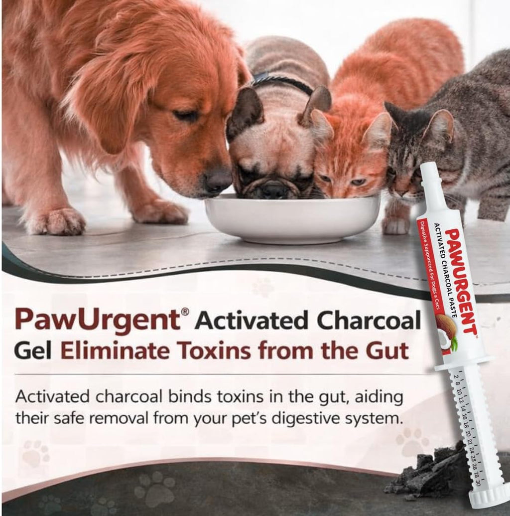 PawUrgent Activated Charcoal Gel