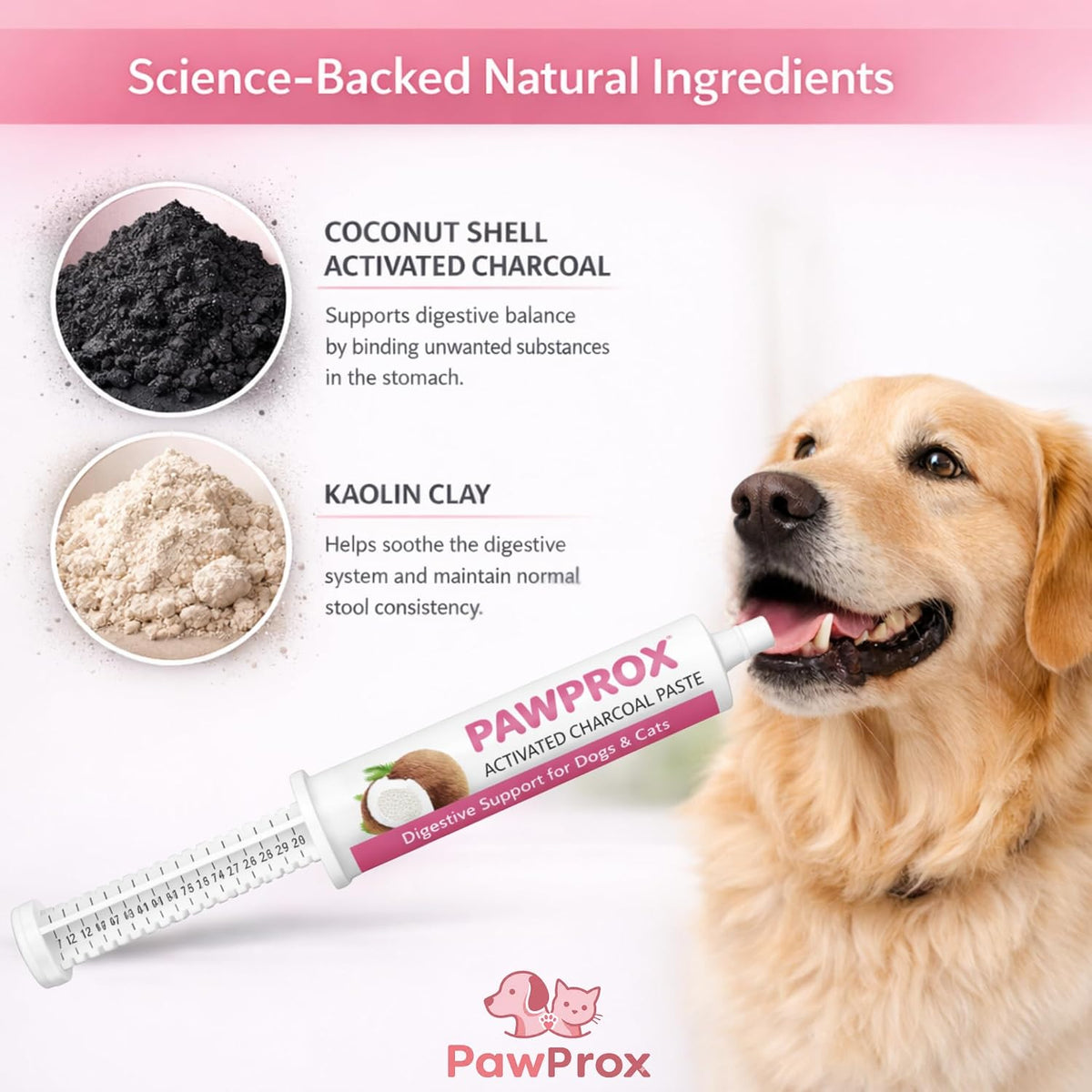 PawProx Activated Charcoal Paste