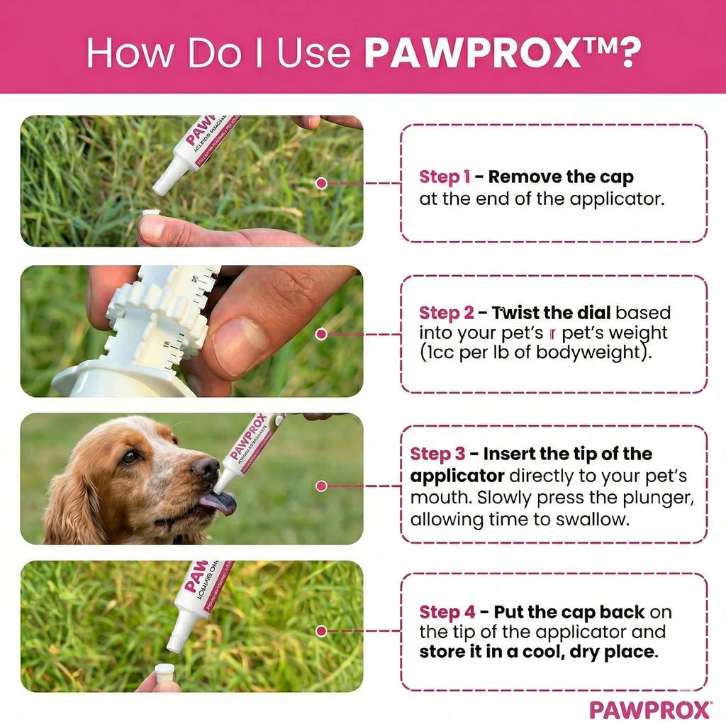 PawProx Activated Charcoal Paste