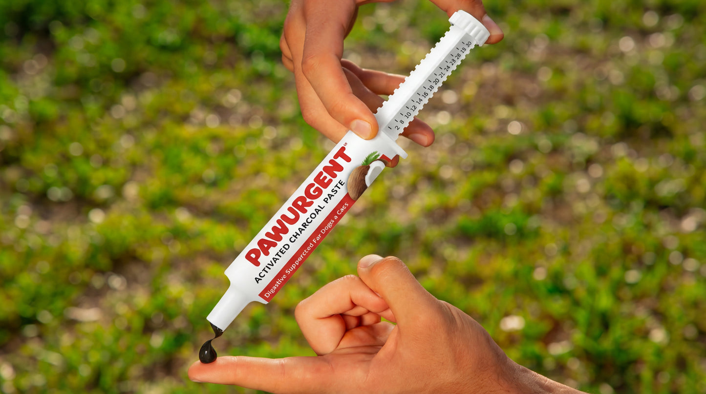 PawUrgent Activated Charcoal Paste for Dogs & Cats