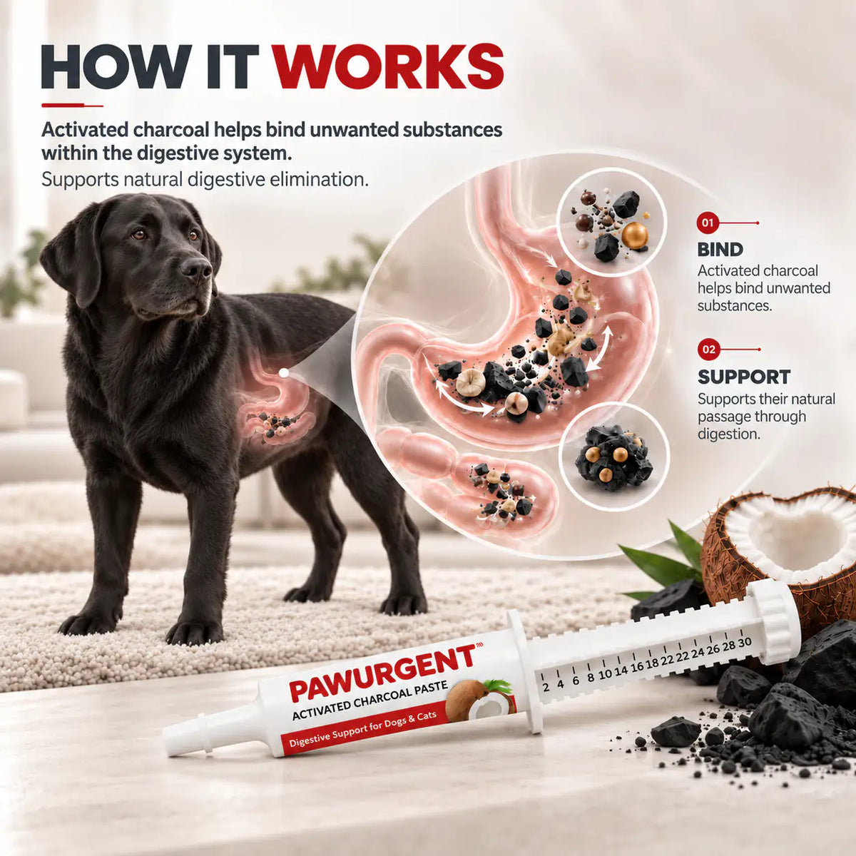 PawUrgent Activated Charcoal Gel