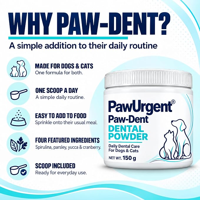 Why Paw-Dent: made for dogs and cats, one scoop a day, easy to add to food, scoop included