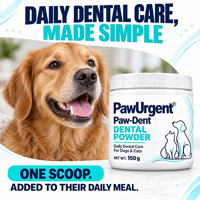 Daily dental care made simple: one scoop added to their daily meal